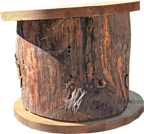 Les abeilles ont besoin de sécurité ! Optez pour la ruche-tronc à cadres La ruche-tronc Nicollet, pour offrir un naturel sécurisant